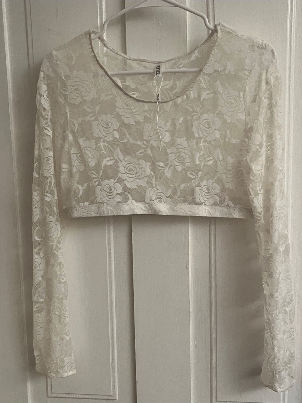 White Sheer Floral Lace Cropped Long-Sleeve Top